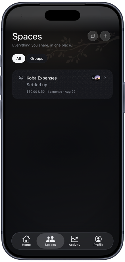 The Spaces tab in the Koba app listing shared groups