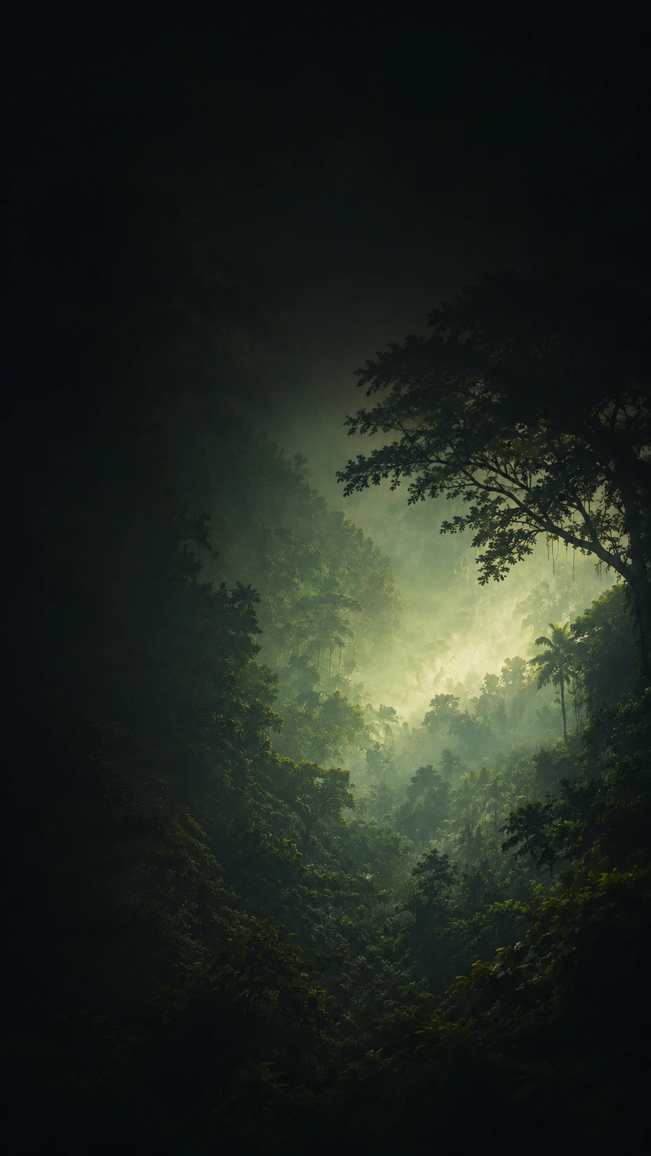 Misty jungle at dusk behind the Koba headline